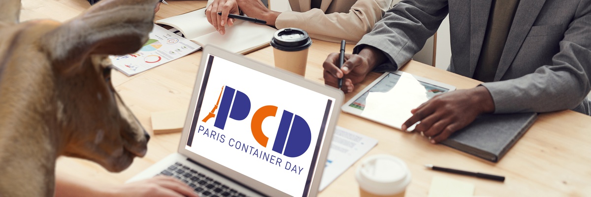 PlugIn Kubernetes, CloudRun... Ce qu'il fallait retenir du Paris Containers Day !